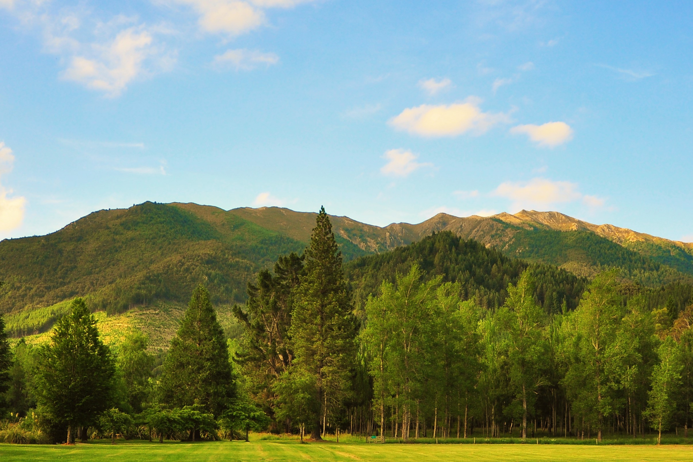 hanmer springs.webp
